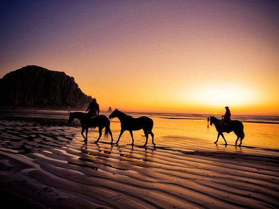 Three silhouetted riders on horseback walk along a beach at sunset. The sun sets behind the horizon, casting a warm orange and purple glow across the sky and reflecting off the wet sand. A large rock formation is visible in the background on the left.