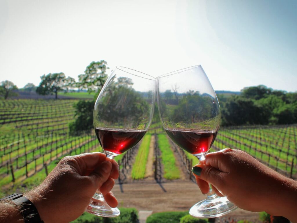 Two people clink their glasses of red wine amidst a scenic vineyard backdrop. The lush rows of grapevines stretch into the distance, with a bright, clear sky overhead. One person has a greenish-blue nail polish on their fingernails.