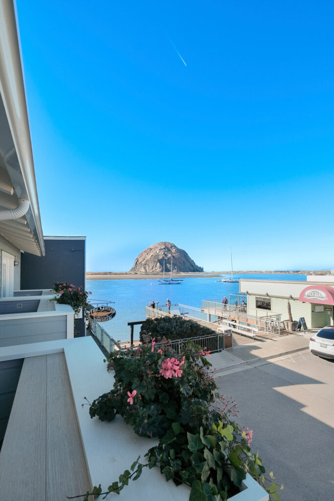 View of Morro Rock across a calm bay, with boats docked along the pier. Pink flowers and green foliage adorn a foreground balcony railing, while the surrounding buildings include a restaurant with a red awning. The sky is clear with a visible contrail.