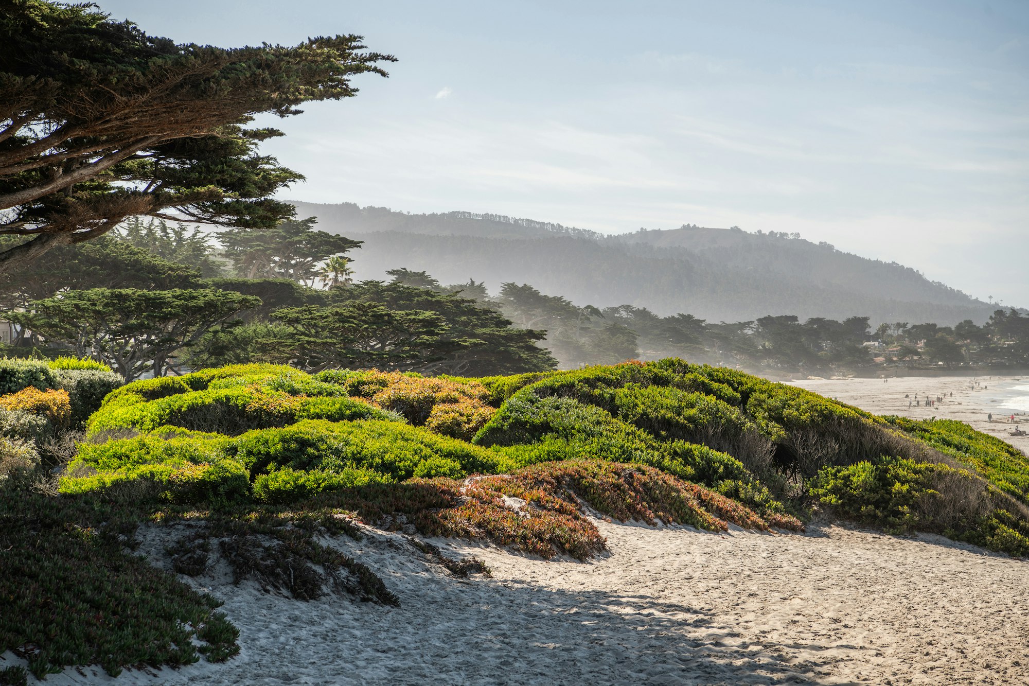 A scenic beach landscape features rolling sand dunes covered in lush, green vegetation with tall trees in the foreground. In the distance, people enjoy the sandy shore, and hazy mountains rise against a clear sky.