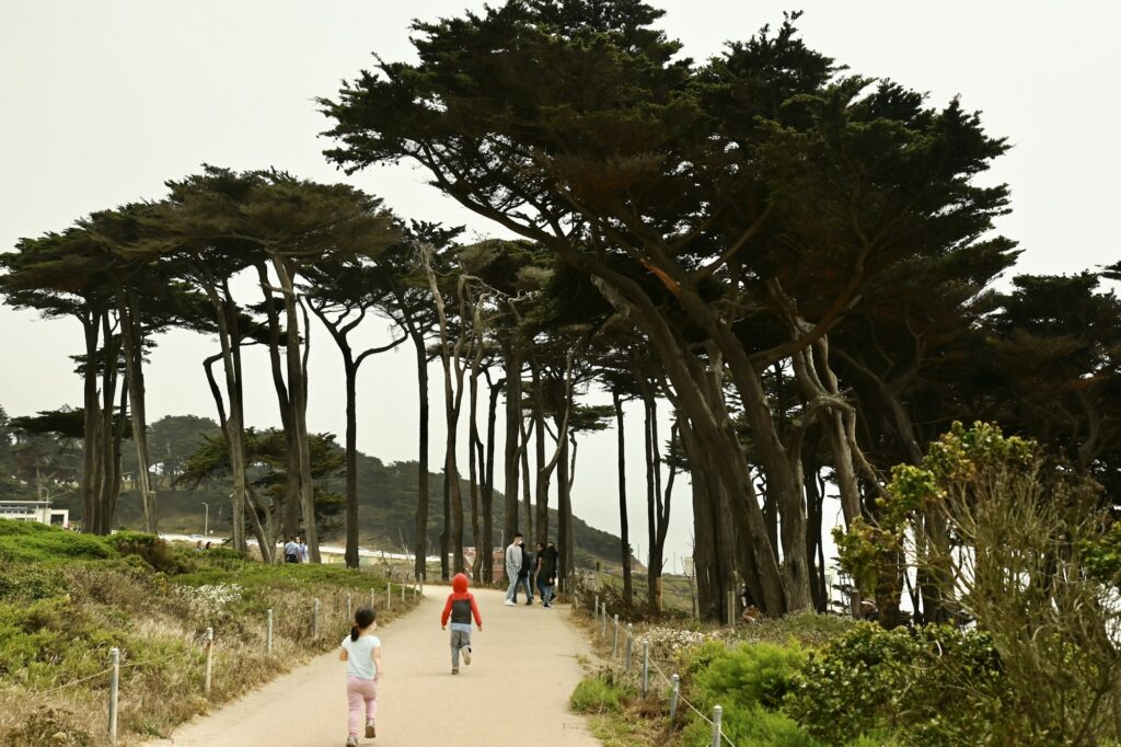 A coastal path lined with tall, wind-swept trees. A few people, including children, walk along the paved trail bordered by greenery. In the background, the sky is overcast and a glimpse of the ocean is visible.